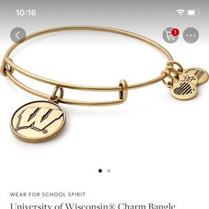 University of Wisconsin Alex and Ani Bangle bracelet